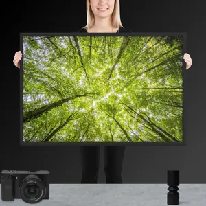 Forest Canopy – Look Up” Nature Poster (24x36)
