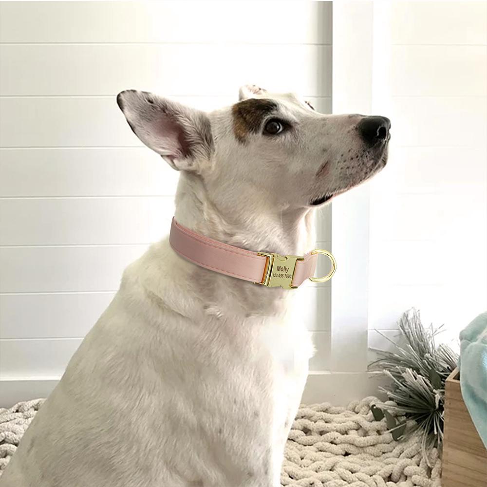 Engraved Dog Pet Collar Custom Puppy Kitten ID Tag Accessories Collar Personalized Nameplate Collars For Dogs Cats Chiens XS-L Engraved Dog Pet Collar Custom Puppy Kitten ID Tag Accessories Collar Personalized Nameplate Collars For Dogs Cats Chiens XS-L