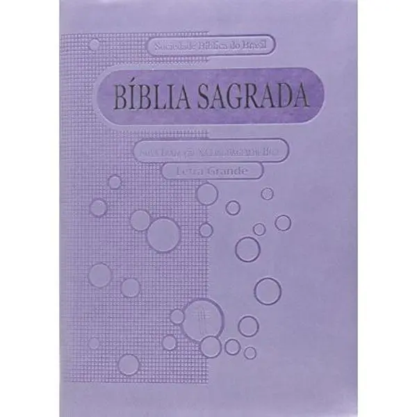 USED-Santa Bíblia Letra Grande / Large Print (Portuguese Edition) (Unknown)