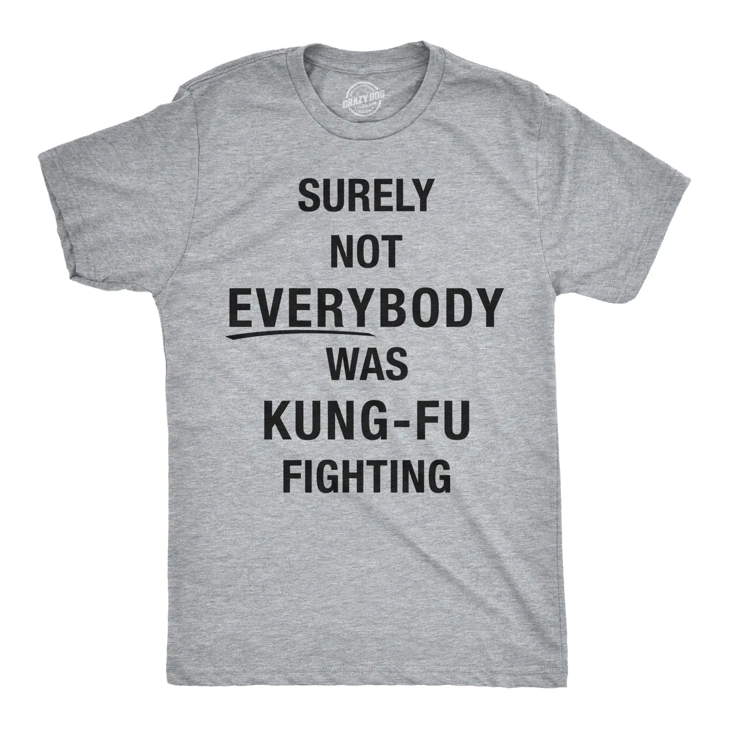 Mens Surely Not Everybody Was Kung Fu Fighting T shirt Funny Sarcastic Saying Mens Funny T Shirts Cool Vintage Fashion T-Shirt Gift Classic Menswear Ninja Apparel for Men Funny Music Short Sleeve Novelty Tees Light Grey