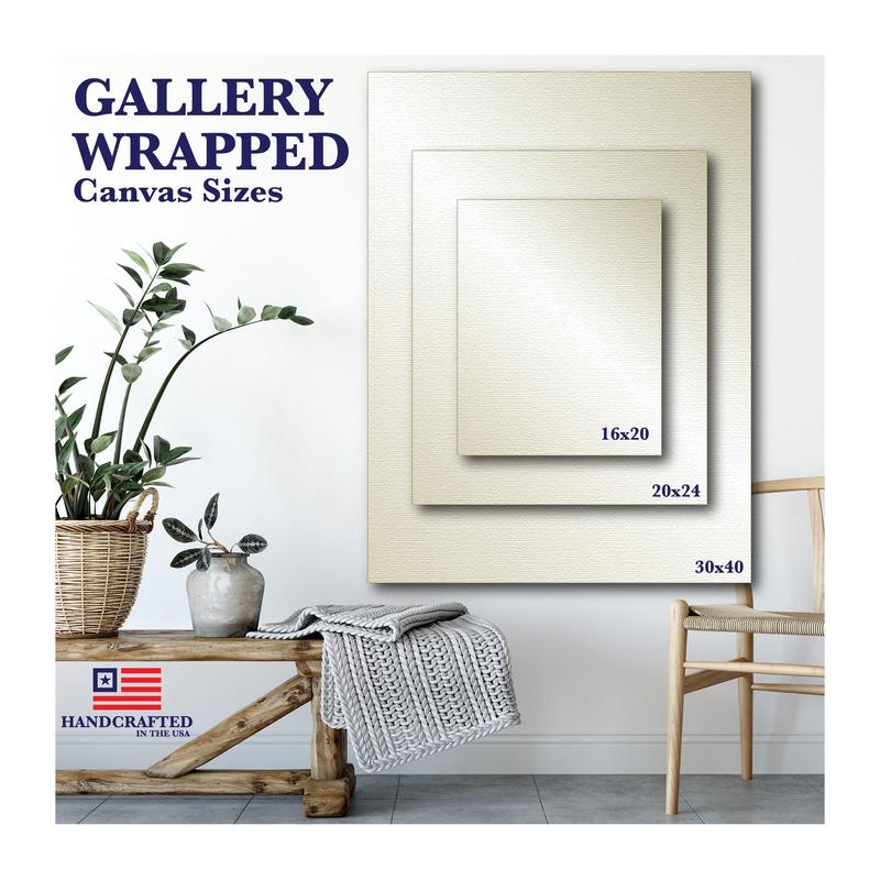 Courtside Market Space Buddy II 16x20 Canvas