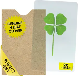 Real Four Leaf Clover Card Good Luck Charm - Perfect as Unique Bookmark - Laminated Pressed 4 Leaf Clover Symbolizing Hope, Faith, Love & Luck - Durable, Waterproof Preservation for Long Lasting Luck