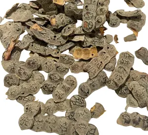 NEP NEP(acacia Nilotica seeds)