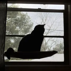 【Already have 10K favorites】Cat Window Perch，Easy to Assemble For Large Cats & Multi-Cat Homes，Cat Window Hammock – Mess-Free Waterproof Cats Window，Indoor Cat Seat,Suction Cup Pet Hanging Bed，Comfortable Sunbathing Lounger for Indoor Cats