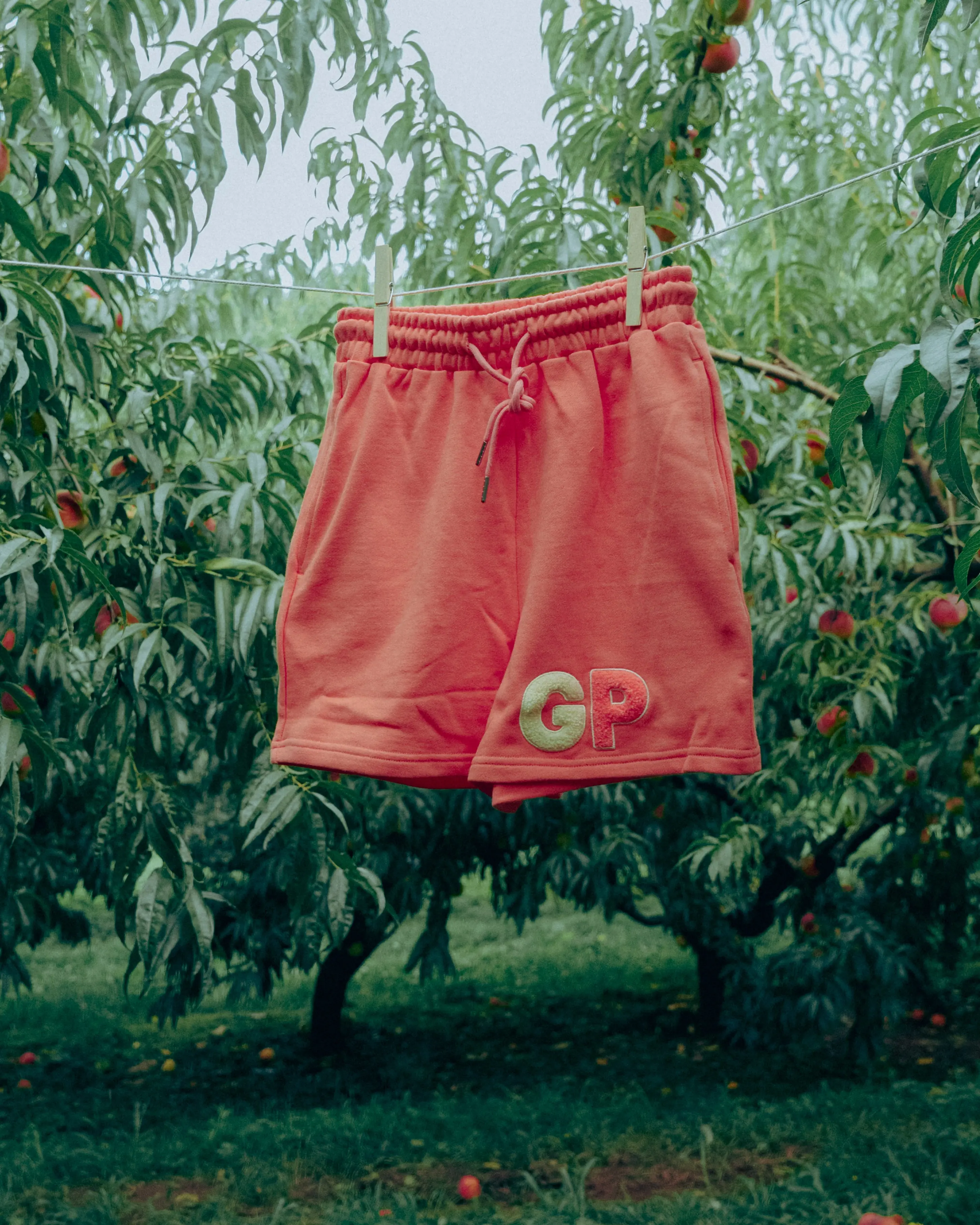 Peach Short 🍑