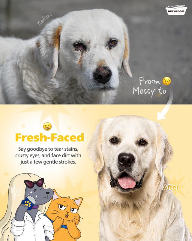 PETHROOM Easy Facial Comb for Cats and Dogs Pets Eye Comb