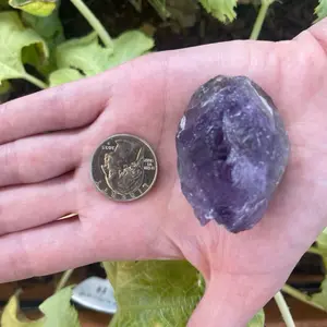  Calendula - Angelic Reiki charged and attuned rough amethyst for energy work, grid work, personal wellness, meditation, and healing practices.