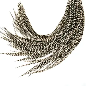 Grizzly 21 Color Hair Feathers - 9”-14” Long - 20 Micro-link Beads - 100% Real Rooster Feathers - Eye-Catching Design for Hair Extension DIY Kit