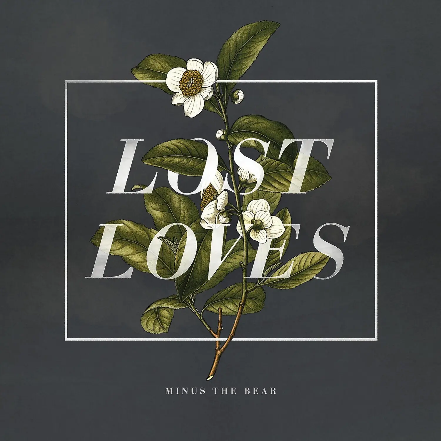 Minus the Bear - Lost Loves  [VINYL RECORD - LP]