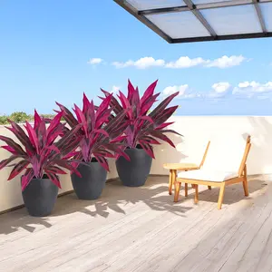 Artificial Bamboo Dracena Plants Ignite with Vibrant Pink and Purple Hues Perfect for Home Decor Weddings Hotels Gardens and More Ideal for Anniversary Celebrations Anniversaries and the Palm Festival