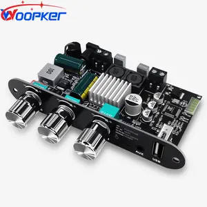 Woopker ZK1001U Mono Bluetooth Amplifier Board 100W Power AMP with TWS Support USB AUX Bluetooth Input DC9 24V for Home Audio Speaker DIY Projects