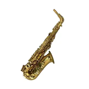 B.A.C. Apprentice Alto Saxophone B.A.C. Apprentice Alto Saxophone