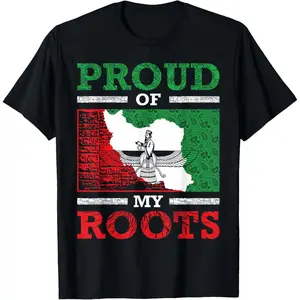 100% Cotton Iran Iranian Persian Irani Flag Iran Roots Farsi Irani Iran T-Shirt