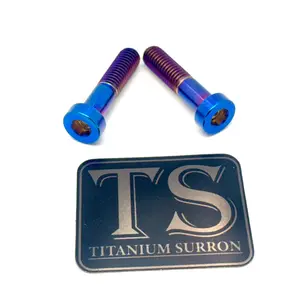 Titanium Triangle OEM Style Bolts - Surron LBS LBX, Segway X160 X260 (2)