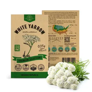 White Yarrow Seeds Pack 0.25G