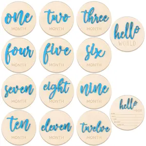 7 count  Monthly Milestone Wooden Signs 3D Girl  1-12 Months Announcement Card Sign  Markers Disc Block Keepsake Double Sided Engraved Keepsake Photo Prop (Blue)
