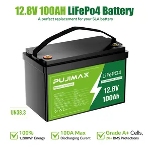 PUJIMAX 12.8V 100Ah LiFePO4 Battery - High Capacity Rechargeable for RV/Marine/Solar