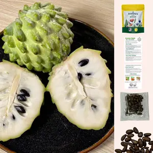 【SummerVibes】Organic Soursop (Graviola) Seeds – 30pcs Non-GMO Heirloom Tropical Fruit seeds