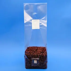 Sterilized Grain Spawn (6 bags, 3 lbs each)