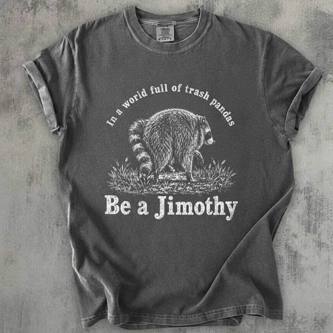 Be A Jimothy Raccoon Shirt, In A World Full Of Trash Pandas T-Shirt, Vintage Comfort Colors Raccoon Tee, Funny Meme Shirt, Cute Animal Gift
