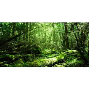 Vinyl 36x24 inches Tropical Terrarium Background Rainforest Aquarium Background Green Tree Reptile Habitat Background
