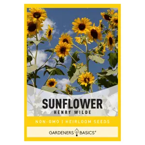 Henry Wilde Sunflower Seeds sunflower seed