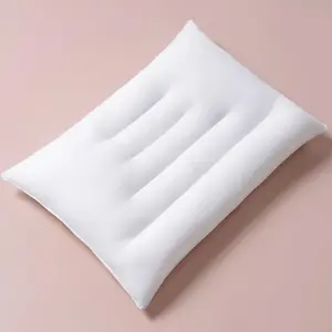 Flat Thin Pillows for Sleeping - Standard Size 1 Pack Slim Bed Pillows for Side   Sleepers,2.5 inch Height Ultra Low Pillows,Down Alternative Filling