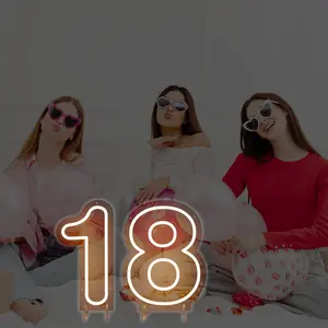 0-9 Digit Warm Light Neon Sign USB Powered with Dimmer for Anniversary Celebrations Bars Homes Clubs Weddings Birthdays Commemorative Occasions