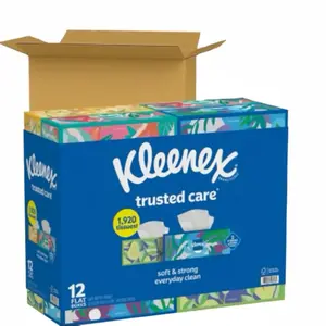 Kleenex Trusted Care 2-ply Facial Tissues, Flat Boxes (160 tissues/box, 12 boxes) Disposable Kitchen Degradable Soft 2 Ply Pattern Scent Scent