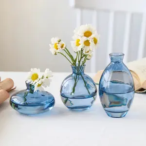 Hydroponic Flower Vase