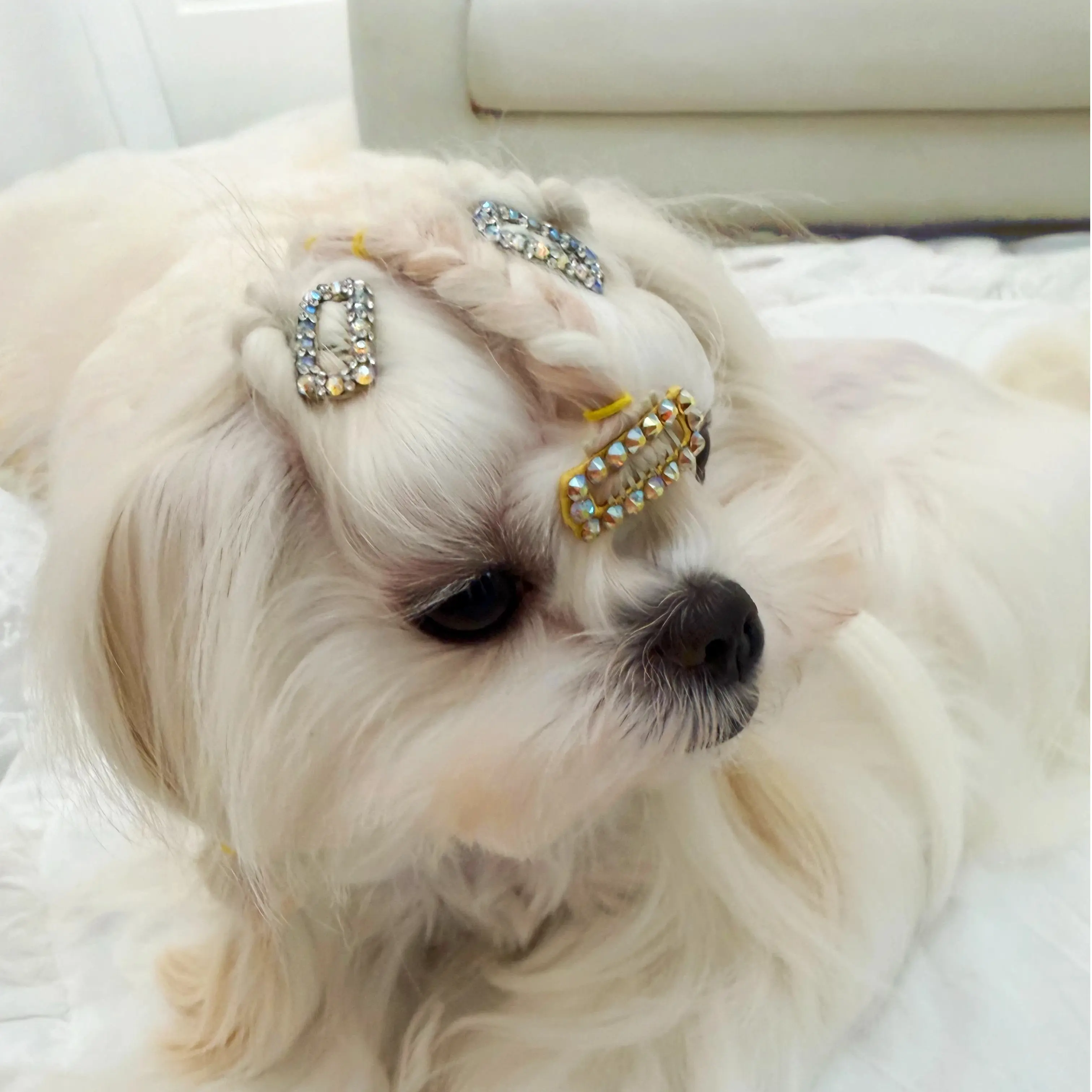 Pet Hair BB Clips, Handcrafted Premium Mini (2.3cm/0.9") Sparkly Crystal Gem Clips with Classic Satin Bow for Dogs & Cats