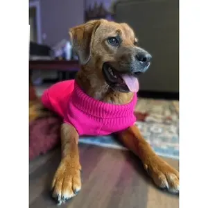 Knit Dog Sweaters - Clearance