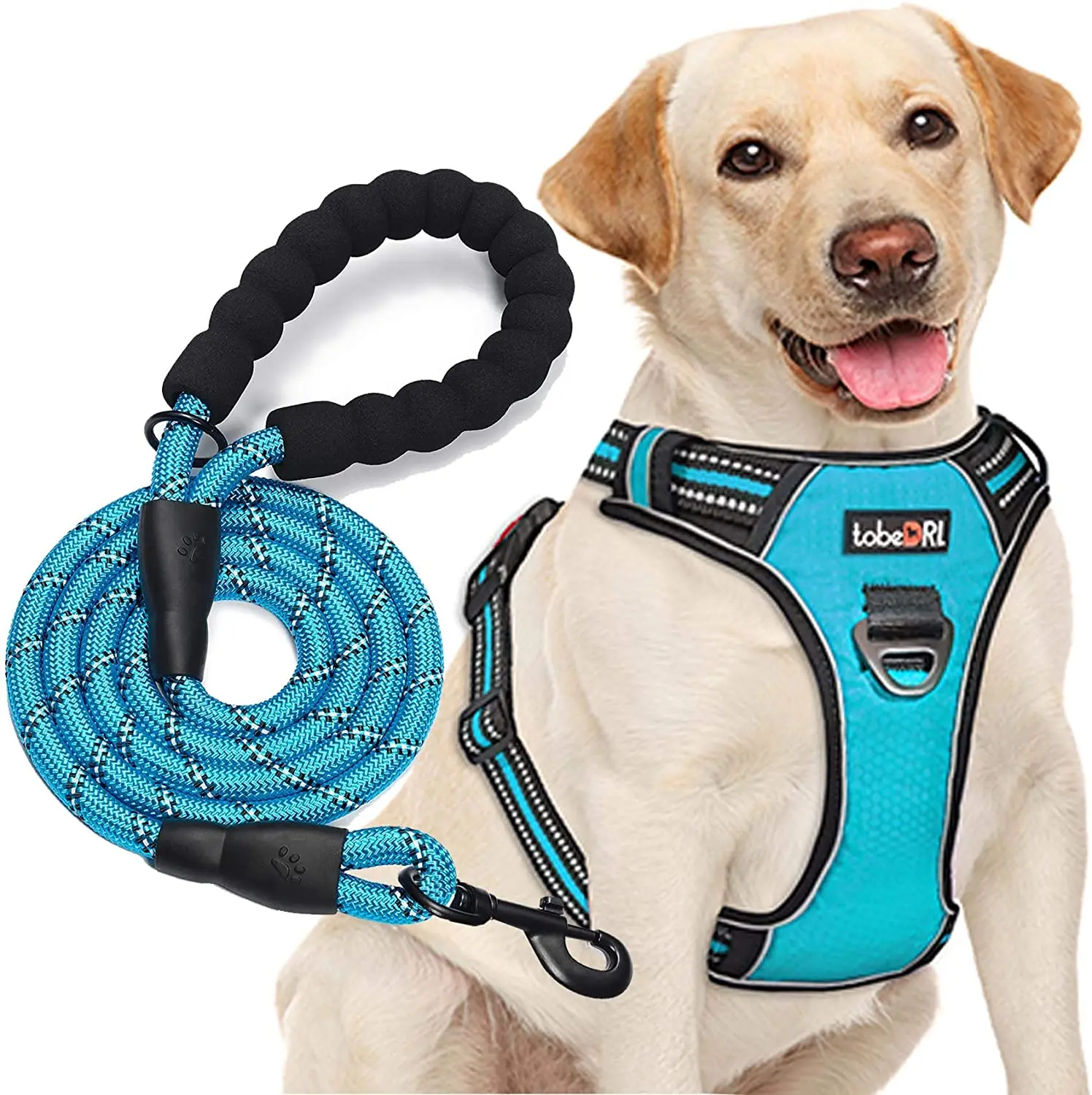 No Pull Dog Harness Adjustable Reflective Oxford Easy Control Medium Large Dog Harness with a Free Heavy Duty 5Ft Dog Leash (L (Neck: 18"-25.5", Chest: 24.5"-33"), Blue Harness+Leash) tobedri
