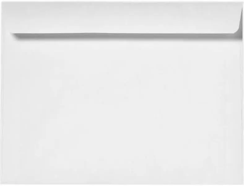 Reskid 9" x 12" Booklet Envelopes, Gummed Seal, for Mailing or Storage, 24 lb White Wove, 500 per Box (Copy)