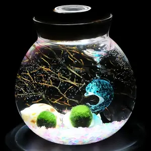 Dubhe - Mystic Live Aquarium Plant, Glowing Big Dipper Bottle Micro-Landscape, Marimo Moss Ball & Crystal Garden, Self-Sustaining Aquatic Habitat for Desk (Includes 2 Live Marimo Pets)