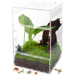 Jumping Spider Enclosure -  Terrarium Habitat for Spiders, Tarantulas, , Mantis, Lizard, and Small Reptiles, Dual Sliding Doors (5.7x5.7x9 inch)