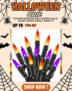 Halloween Lights Purple & Orange 20FT 100 Count Incandescent Mini String Lights IP44 Waterproof for Indoor Outdoor Decorations