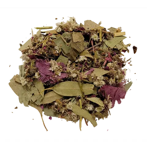 Lung Cleanse Herbal Tea - Natural Expectorant with Mullein & Eucalyptus for Mucus Relief & Respiratory Support
