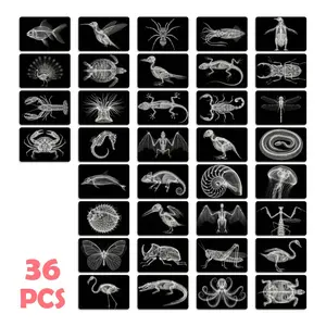 36Pcs Animal X-Ray Cards for Kids, Transparent Light-Permeable Skeleton Structure Cards, Montessori Science Educational STEM Toys & Learning Biology Gift