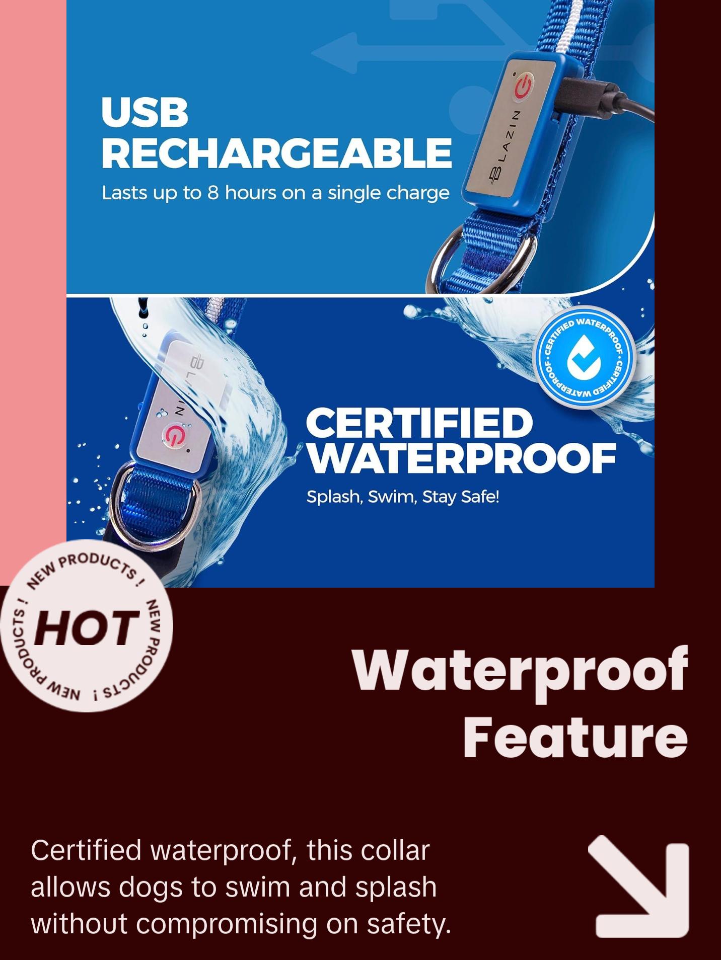 BLAZIN Brightest Light up Dog Collars - the Original LED Dog Collar with 1,000 Feet of Visibility - USB Rechargeable Waterproof Dog Collar Light - Dog Lights for Night Walking - USA Brand Blazin BLAZIN Brightest Light up Dog Collars - the Original LED Dog Collar with 1,000 Feet of Visibility - USB Rechargeable Waterproof Dog Collar Light - Dog Lights for Night Walking - USA Brand Blazin