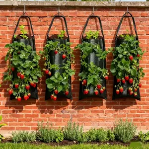 Wall-Mounted Strawberry Planter Bag Set | 🍓 Grow Herbs & Veggies on Your Balcony Strawberry Vertical Planters