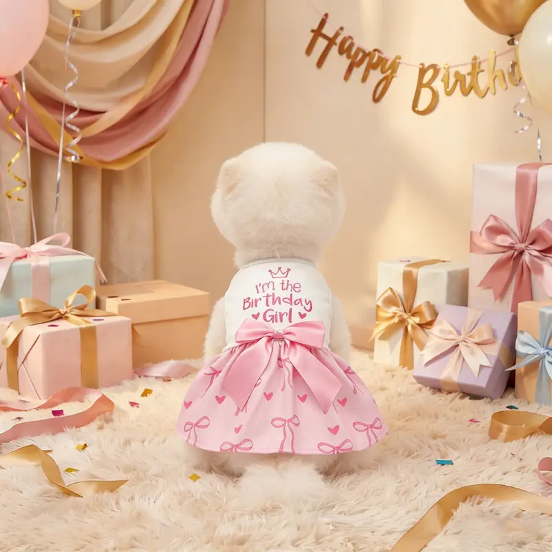 dog birthday apparel - TikTok Shop