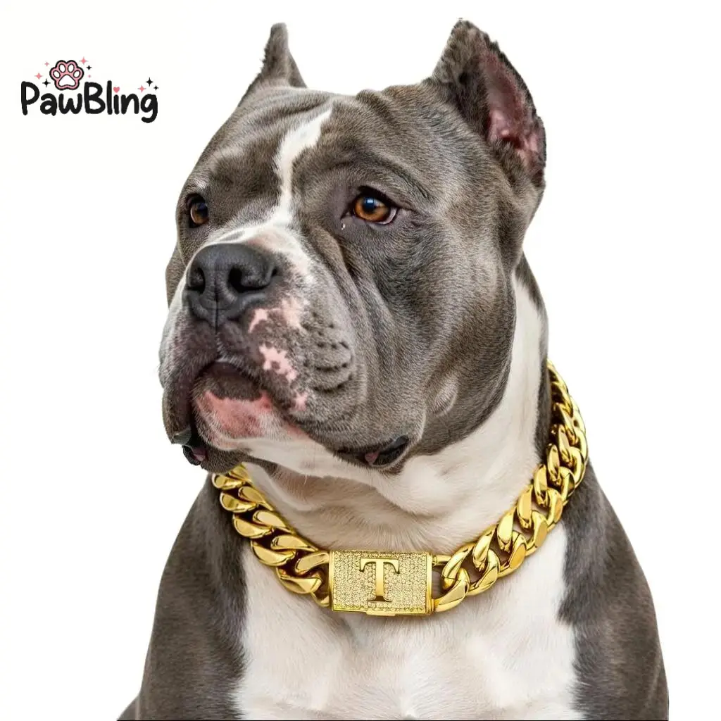 dog chains necklace pitbull - TikTok Shop
