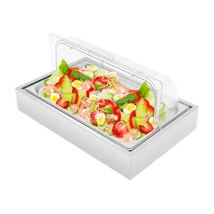 1.59 Gal Ice Food Serving Display Tray with Freezable Gel Ice Box & Clear PC Cover, Stainless Steel Buffet Server for Cold Dishes Sushi Salad for Party Outdoor Catering Restaurant Home