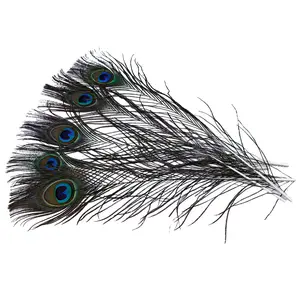 99FR599-5: Cut Eyed Peacock Sticks 10-12" - 5PC