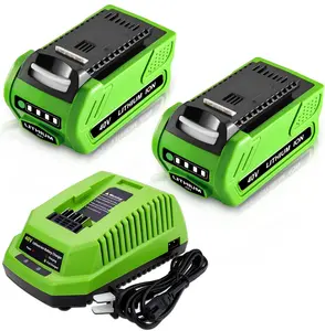 2-Packs 40V 6000mAh Lithium ion 29462 29472 Replacement Battery and 29482 Charger Compatible with GreenWorks 40 Volt Power Tools 29472 29252 20202 22262 25312 25322 20642 22272 27062 Tool (Green)