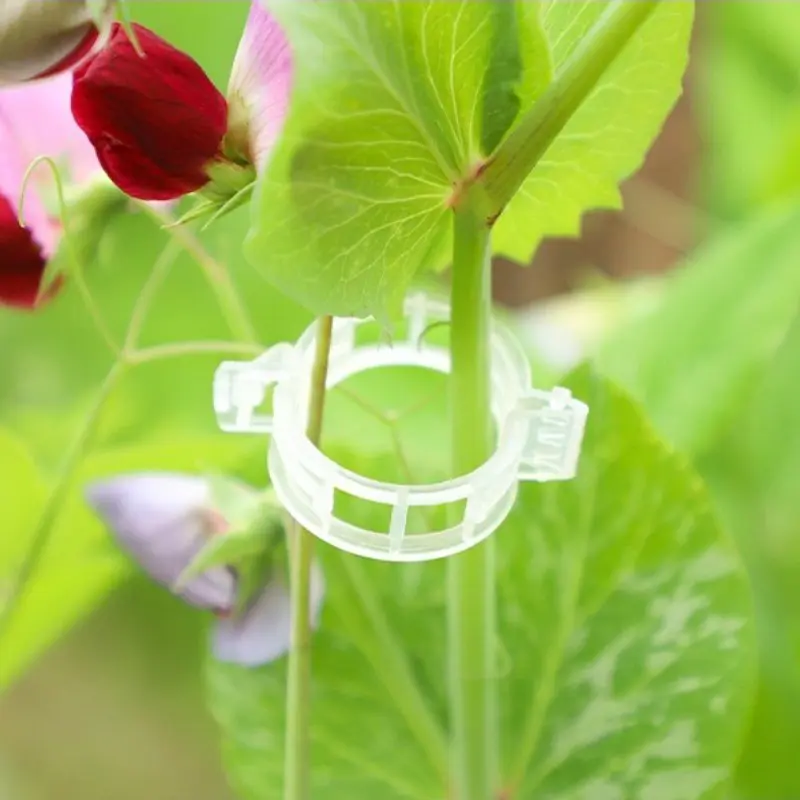 300 Pack Garden Plant Clips Plastic Vine Tie Clips Branch Holder Hanging Vine Support Tomato Vine Fixing Clip ()