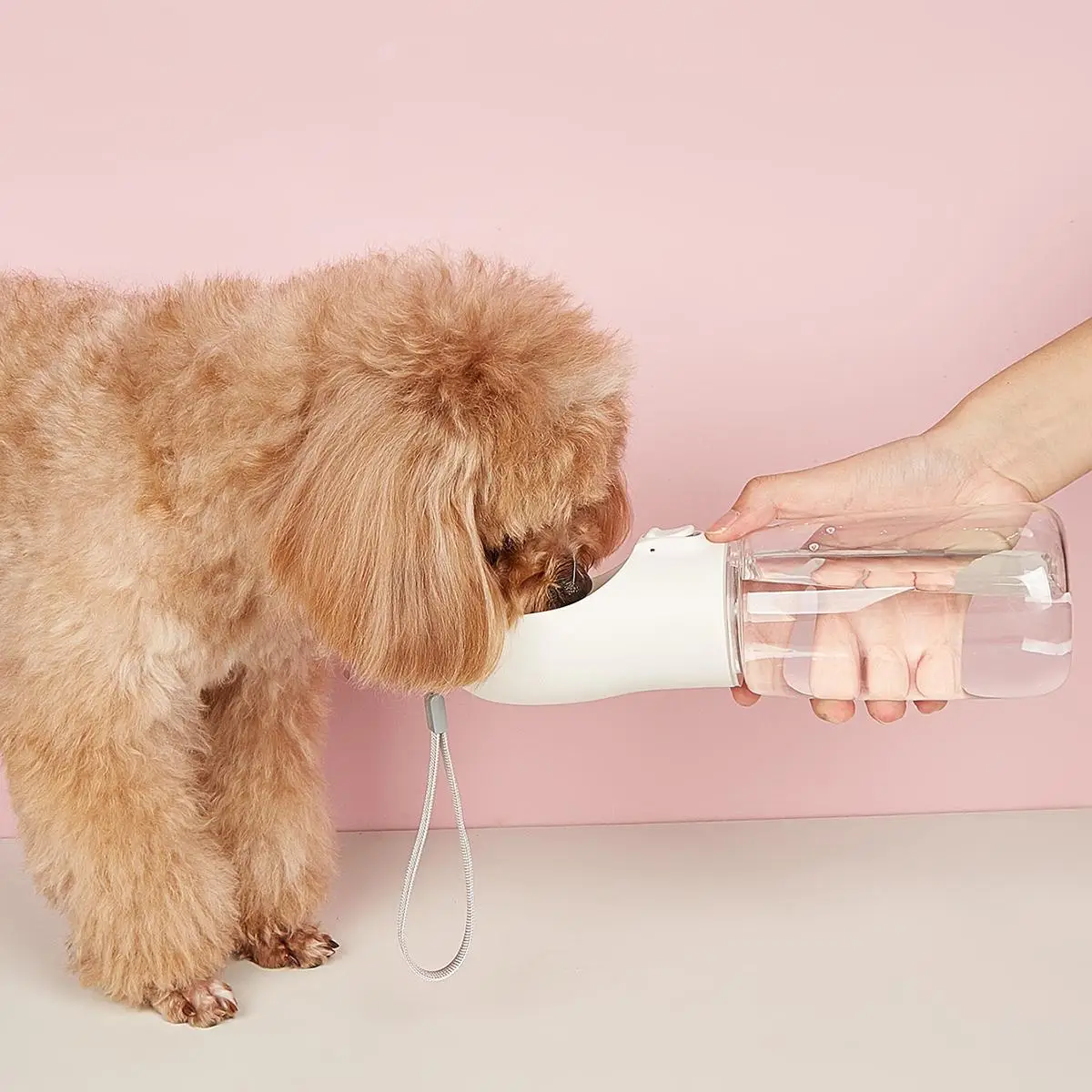 Portable Pet Dog Water Bottle, 1 Count Solid Color Pet Drinking Bowl With Rope, Pet Feeding Supplies For Outdoor Travel