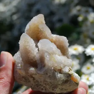 251g Large Fairy Quartz Crystal Cluster, South Africa 3