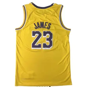 James LeBron Season 2024-2025 - Basketball Season with Key Events and Team Dynamics